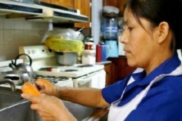 domesticasnoparaguai600x366