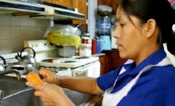 domesticasnoparaguai600x366