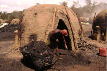 mptba trabalho escravo
