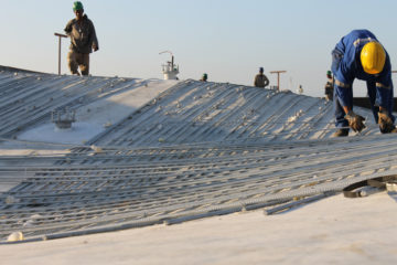 clarice tenorio barretto