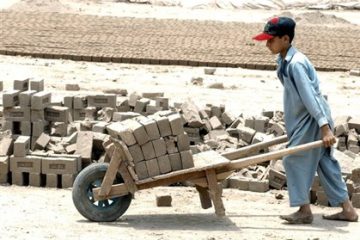 fepeti mt promove evento de combate ao trabalho infantil na arena pantanal