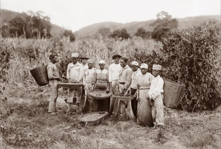 0072430cx024A 06.jpg e1551097531446