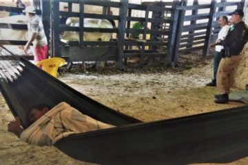 te vaquejada gerusia barros auditora fiscal 1 editada 800x450