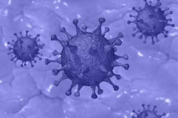 Pixabay coronavirus covid19