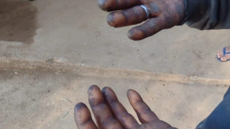 adere trabalho escravo