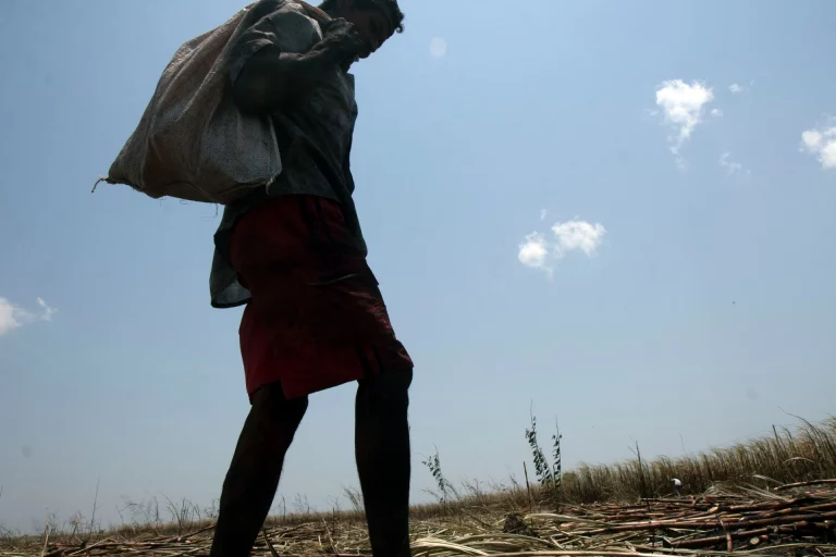mte sergio carvalho trabalho escravo e1646248001128