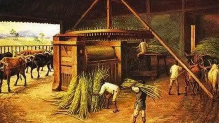 museu escravidao historia e1677854024944