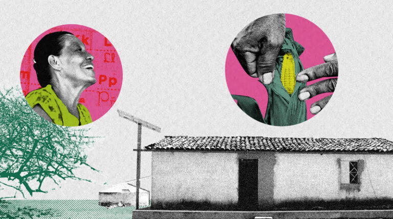 joio e o trigo agricultor 1