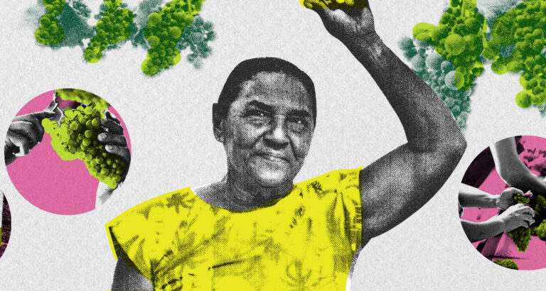 joio e o trigo mulher trabalho rural e1681219944665