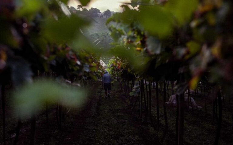 r brasil trabalhador rural